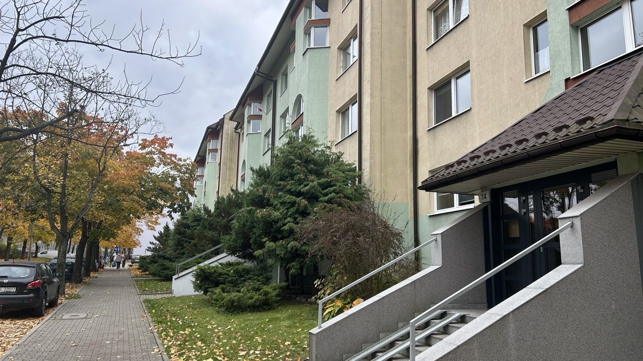 Zielona okolica